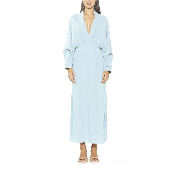 NWOTD Alexia Admor Size 2 KACEY MAXI DRESS light Blue MSRP $226 - Picture 3 of 14